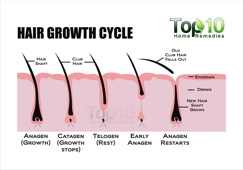 best way to regrow hair on bald head naturally